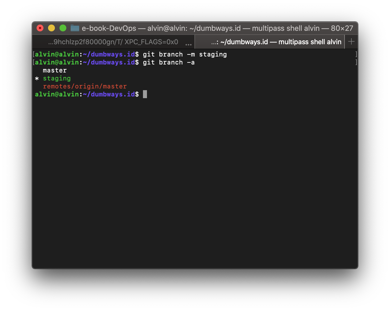 11. Git Branch | DevOps Stage 1